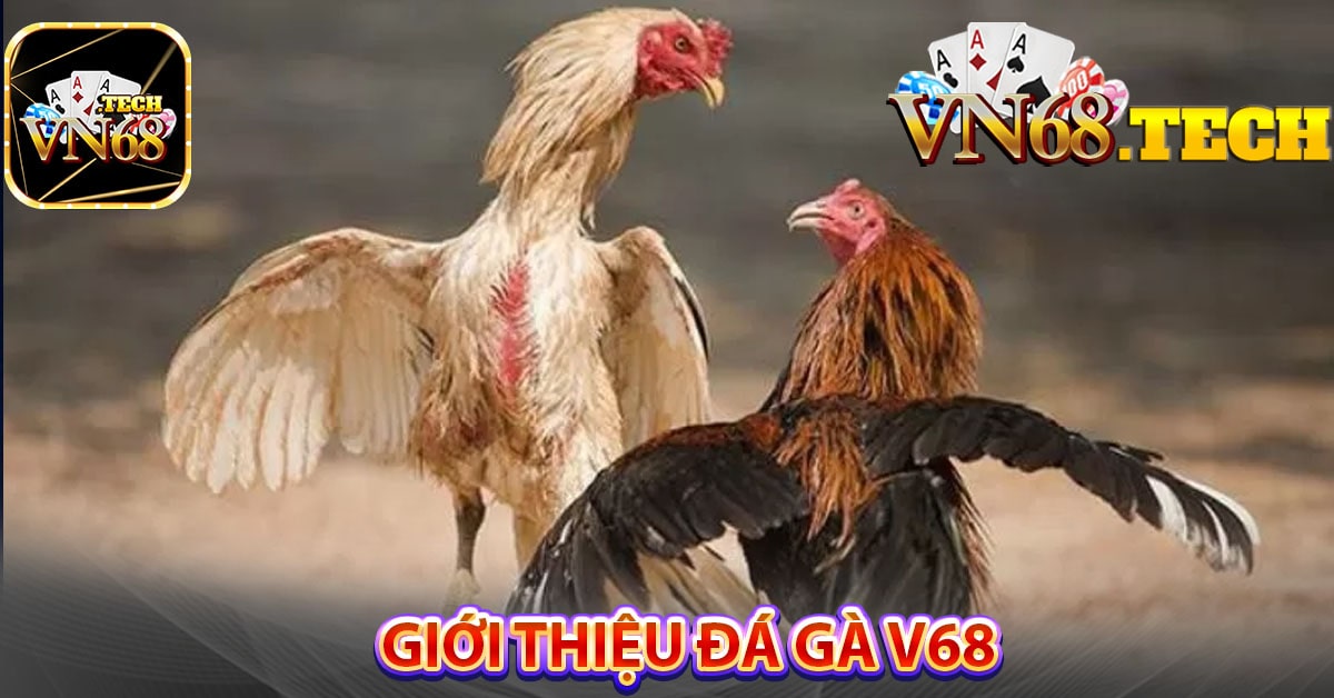 Giới thiệu đá gà VN68