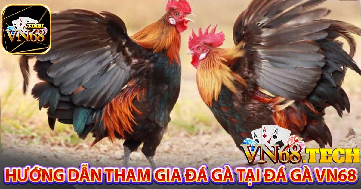 Hướng dẫn tham gia đá gà tại đá gà VN68
