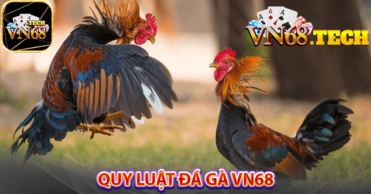 Quy luật đá gà VN68